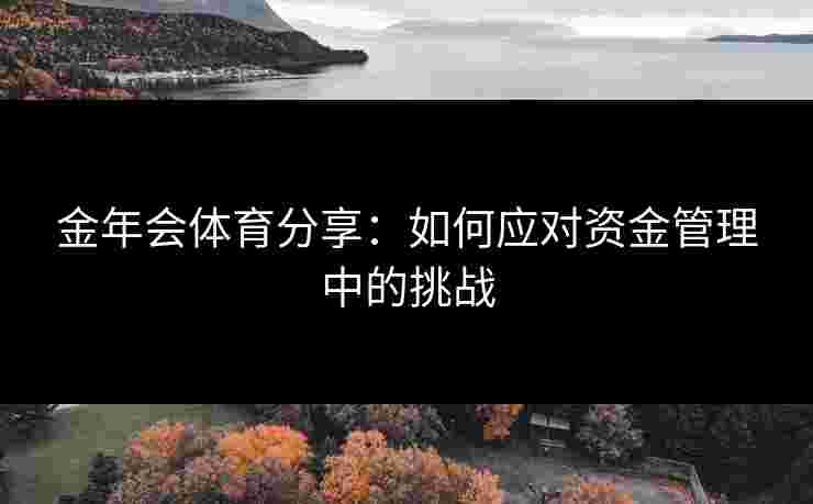 金年会体育分享：如何应对资金管理中的挑战